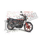 No.202018 ： Z400FX