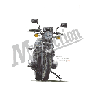 No.202069 ： Z1000 MK2 CUSTOM