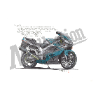 No.202074 ： ZX-9R