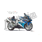 No.203059 ： TL1000R