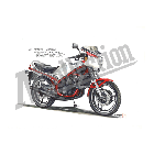 No.204035 ： RZ250R