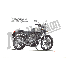 No.204066 ： SRV250S