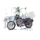 No.205018 ： Sportster XR1000