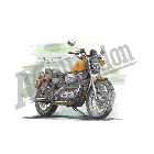 No.205019 ： Sportster XLH883