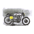 No.205021 ： MANX ［マンクス］ Norton