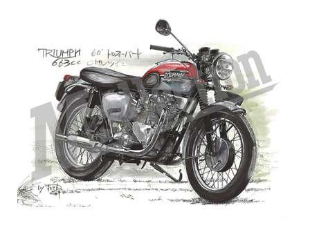 Triumph Trophybird ［トロフィーバード］