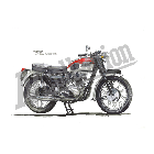 No.205036 ： T120 BONNEVILLE