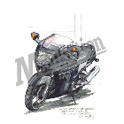 No.206003 ： CBR1100 XX Super BlackBird