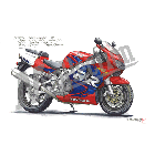 No.206047 ： CBR900RR