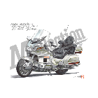 No.206048 ： GOLDWING SE