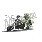 No.202042 ： Z1000R カワサキ