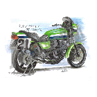 No.202050 ： Z1000S1 カワサキ